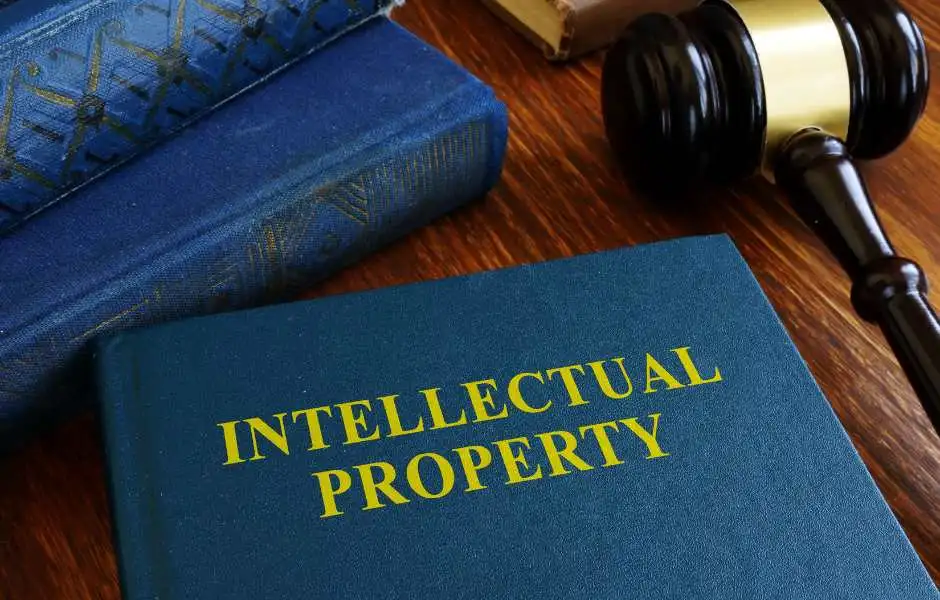 Intellectual Property Rights 