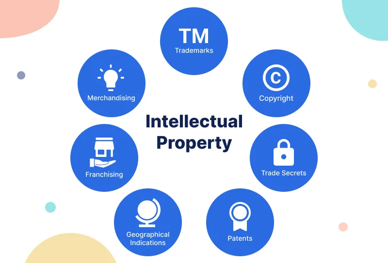 Intellectual Property Rights 
