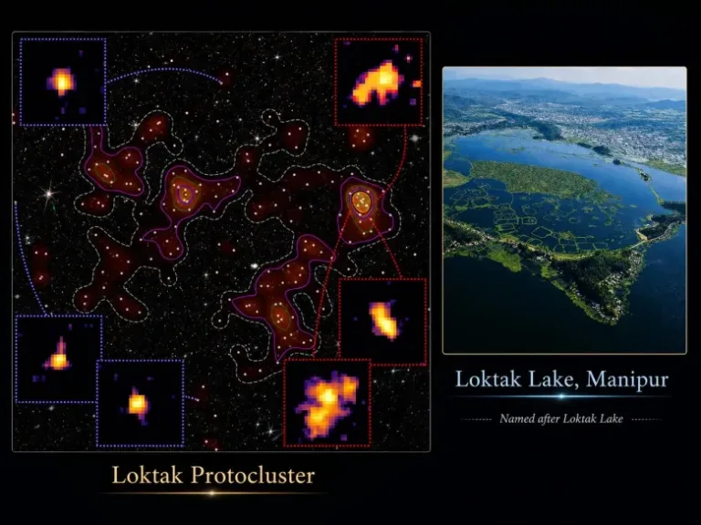 Loktak Protocluster Discovery