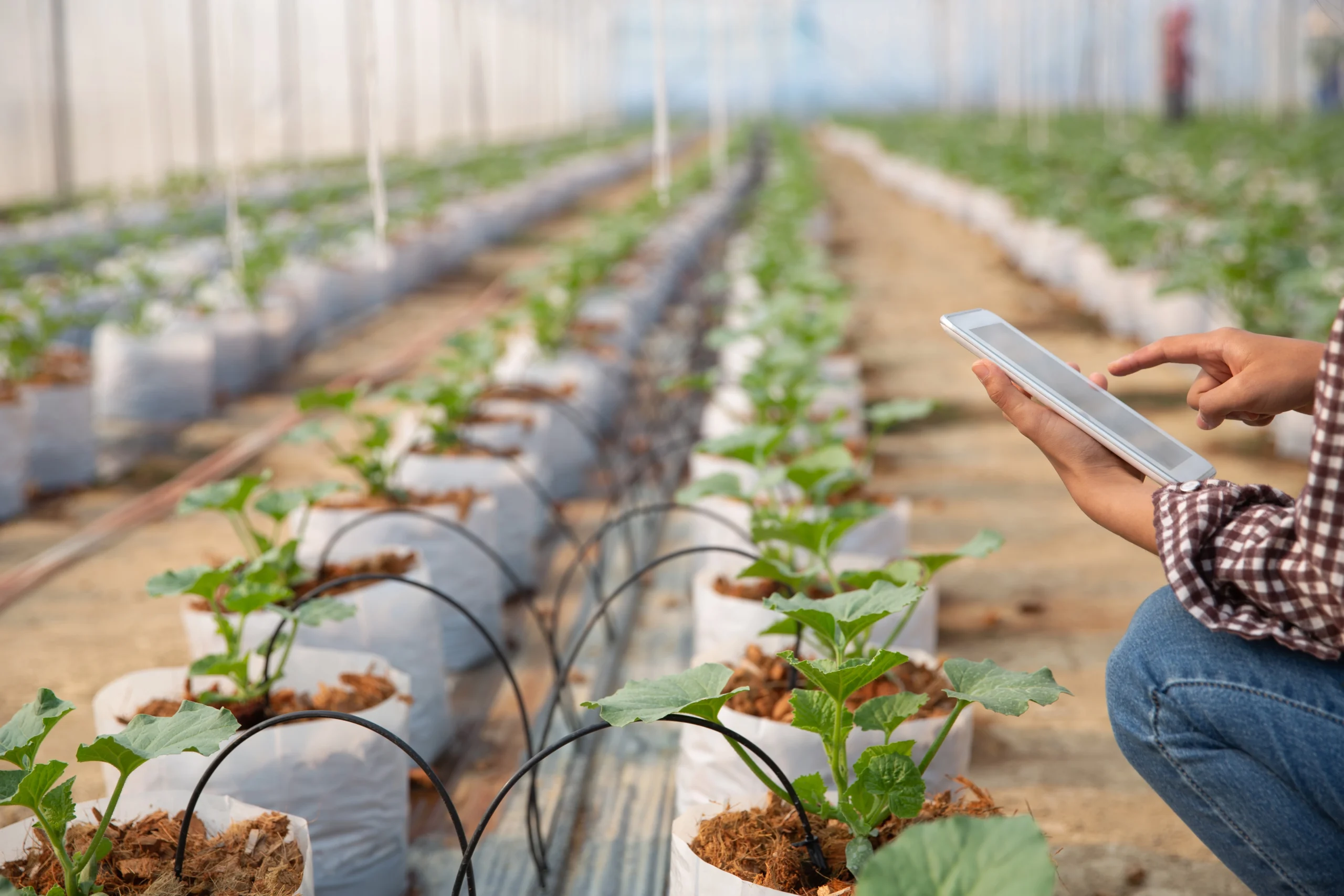 M-CAD Irrigation Model