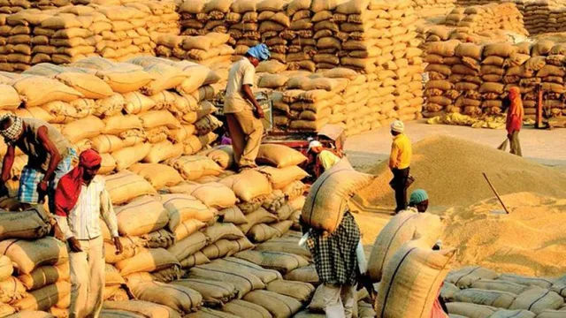 MSP Procurement Pulses Boost GIFT City MSP Procurement