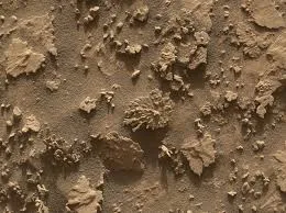 Mars Carbon Discovery by NASA Mars Carbon Discovery