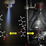 Microdroplet Chemistry