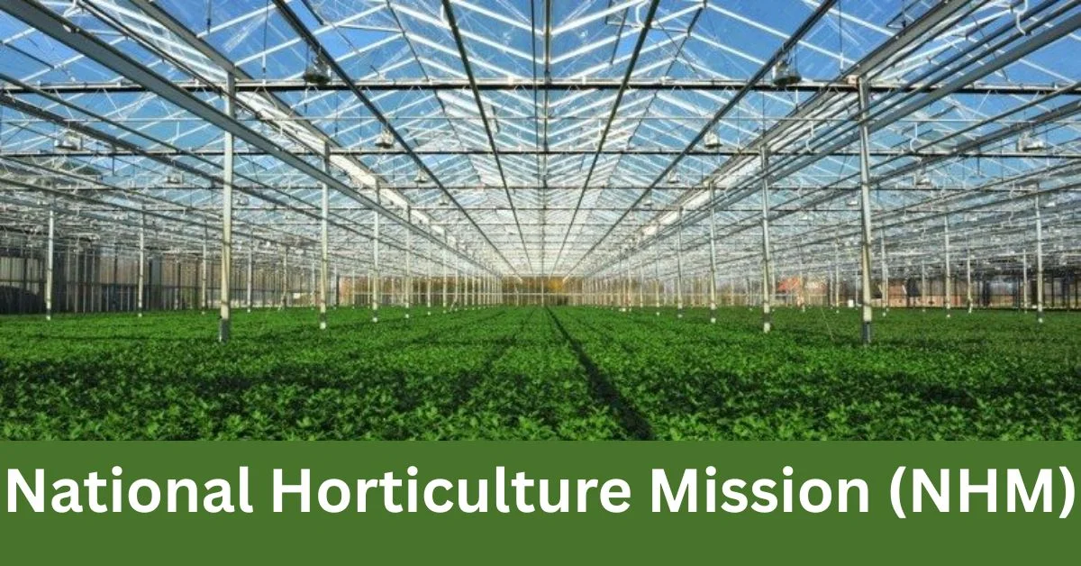 Horticulture Sector in India