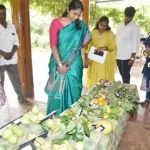Native Fruit Cultivation