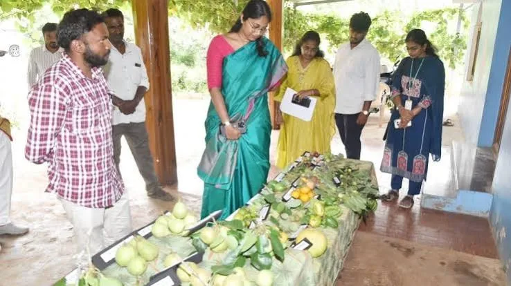 Native Fruit Cultivation
