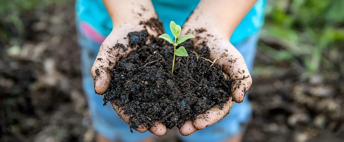 Carbon Farming