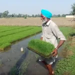 Punjab VB-G RAM G Scheme