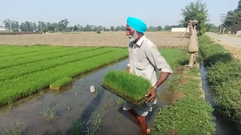 Punjab VB-G RAM G Scheme