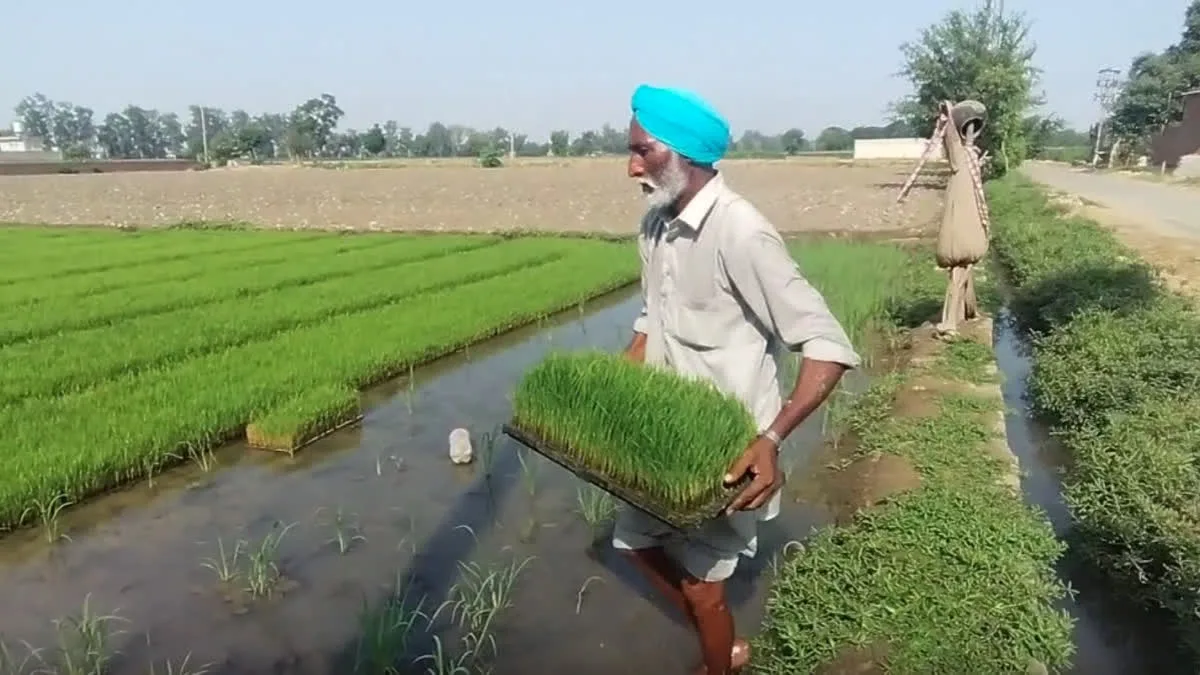 Punjab VB-G RAM G Scheme