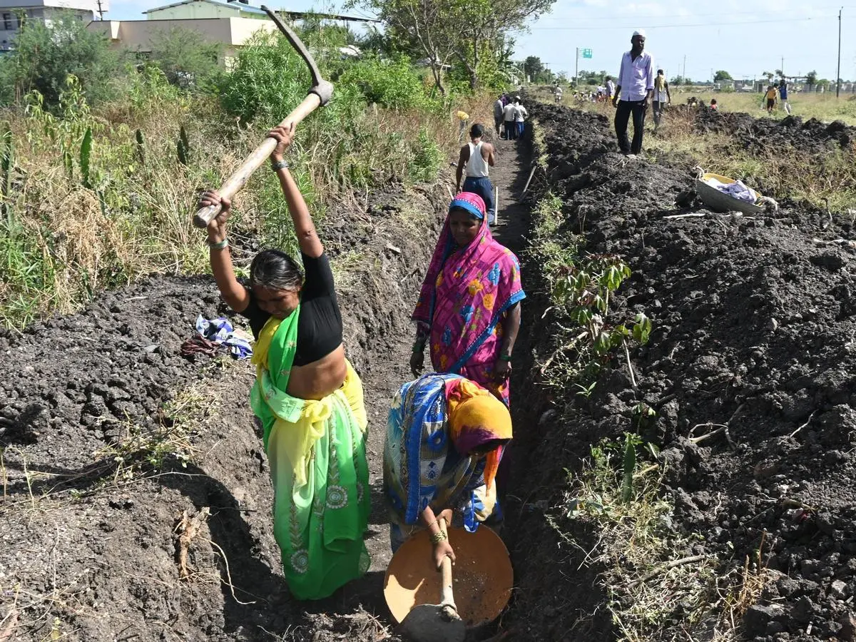 Rural Employment Framework