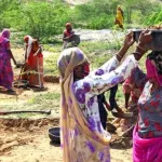Rural Employment Framework
