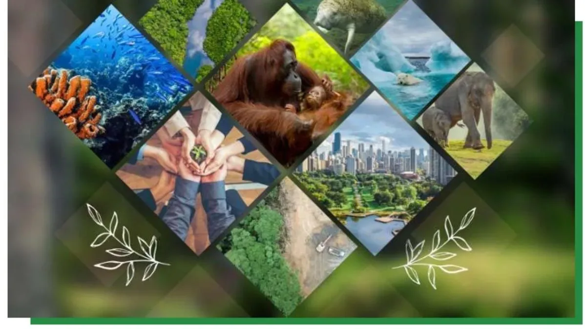 Environmental Impact Assessment Draft 2020: Key Changes and Issues GIFT City Environmental Impact Assessment Draft 2020