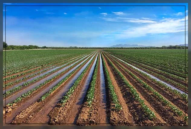 Different Irrigation Systems in Agriculture GIFT City Different Irrigation Systems