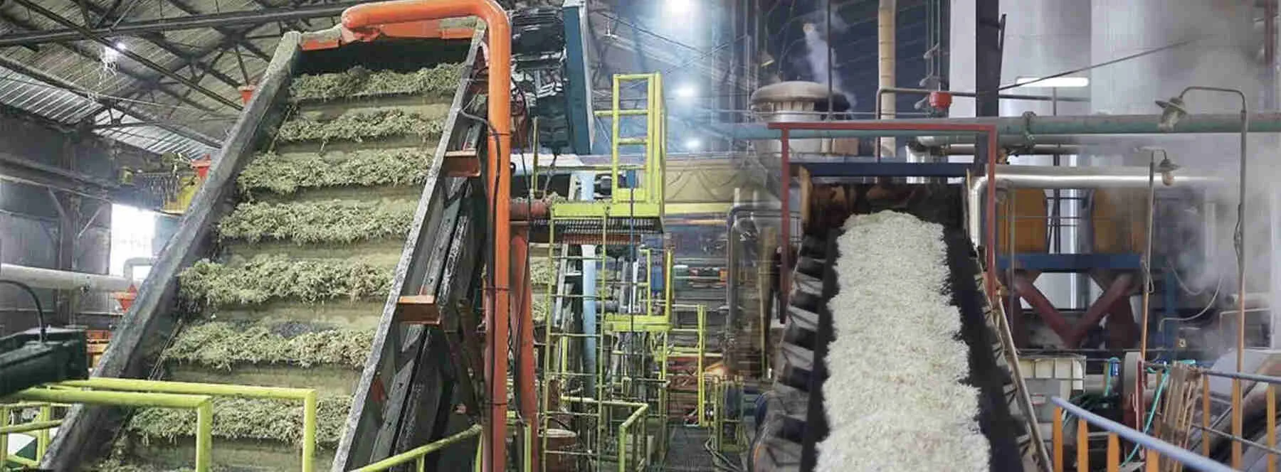 Sugar Industry