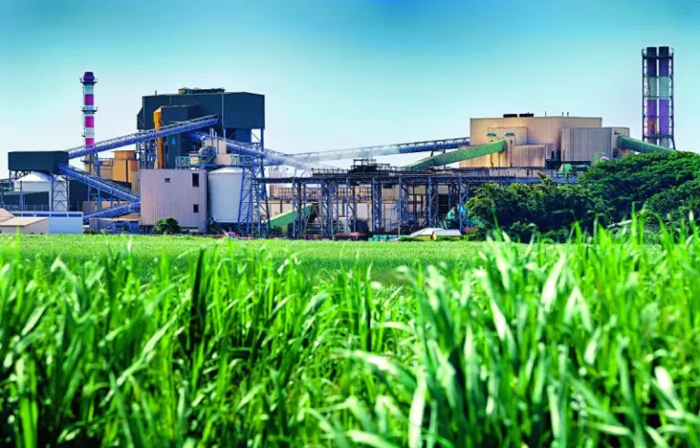 Sugar Industry