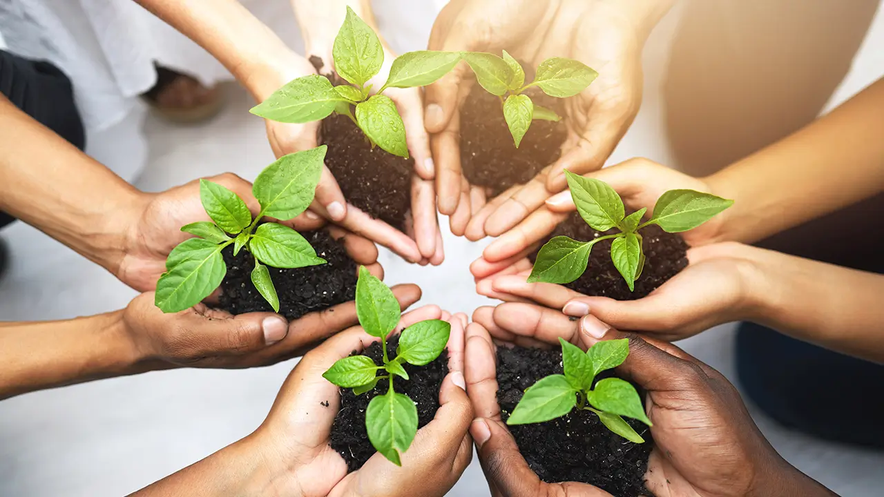 Sustainable Development: Meaning, Goals, Challenges and Global Efforts El Gaia Attack Sustainable Development