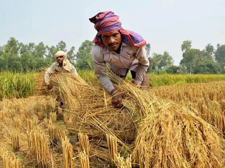 Tamil Nadu Crop Loan Waiver