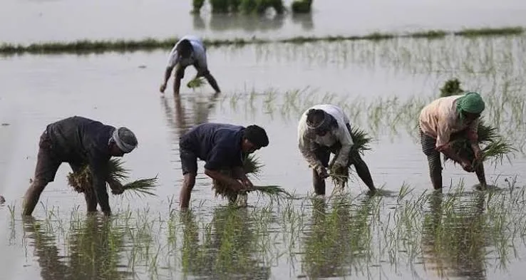 Tamil Nadu Crop Loan Waiver