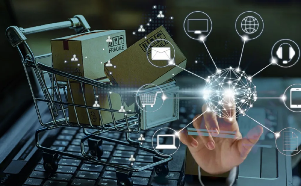 e-Commerce in India: Growth, Benefits, Challenges and Government Initiatives El Gaia Attack e-Commerce in India