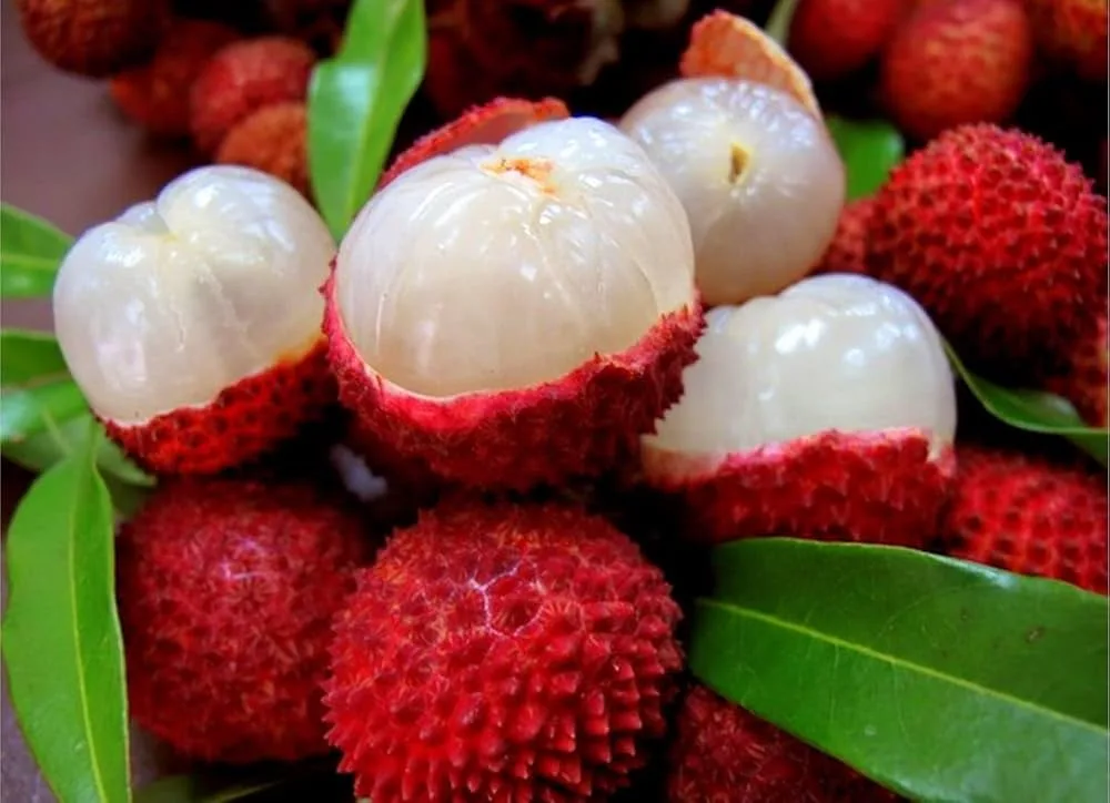 Tezpur Litchi Export to Dubai Singapore El Gaia Attack Tezpur Litchi Export