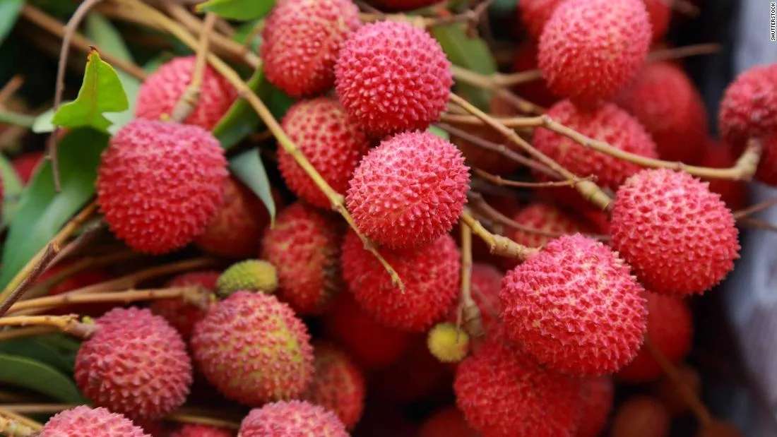 Tezpur Litchi Export