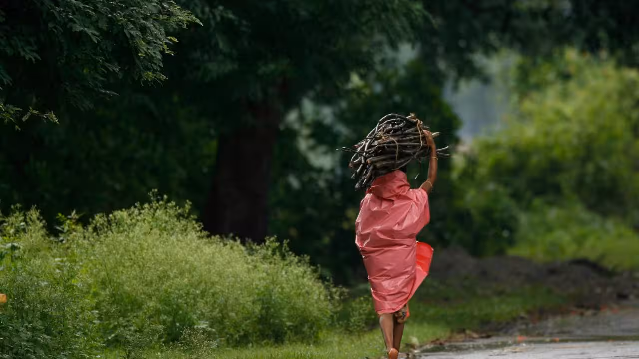 Tribal Affair