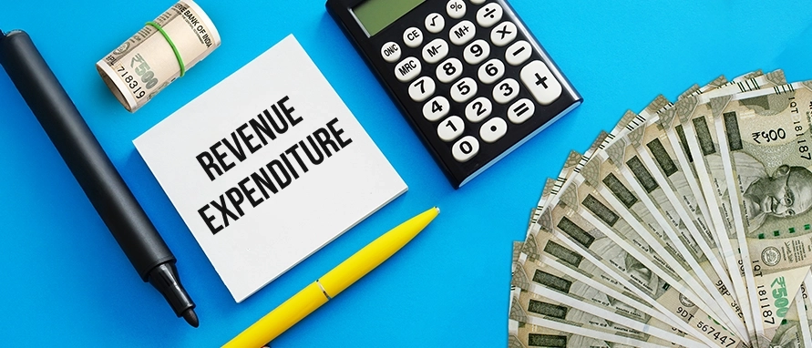 Government Budgeting