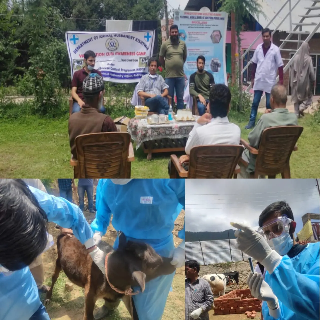 Animal Rearing in India: Importance, Challenges and Government Schemes El Gaia Attack Animal Rearing
