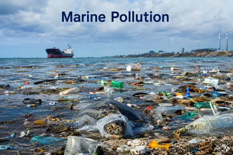 Marine Pollution: Causes, Effects and Solutions to Protect Our Oceans El Gaia Attack Marine Pollution
