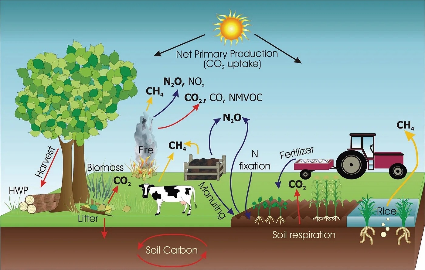 Carbon Farming