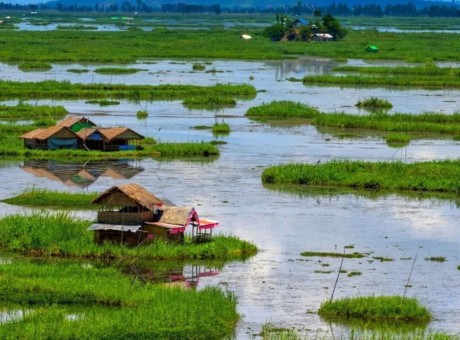 Wetlands