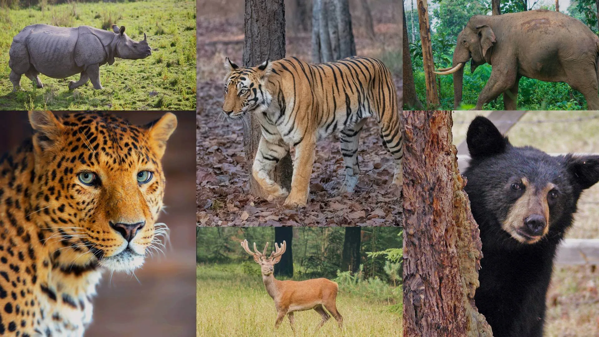 Eco-Sensitive Zones