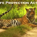 Wildlife Protection Act 1972