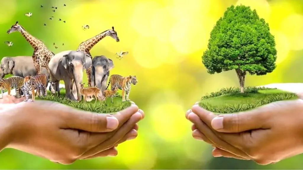 Wildlife Protection Act 1972