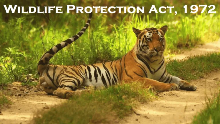 Wildlife Protection Act 1972 in India GIFT City Wildlife Protection Act 1972