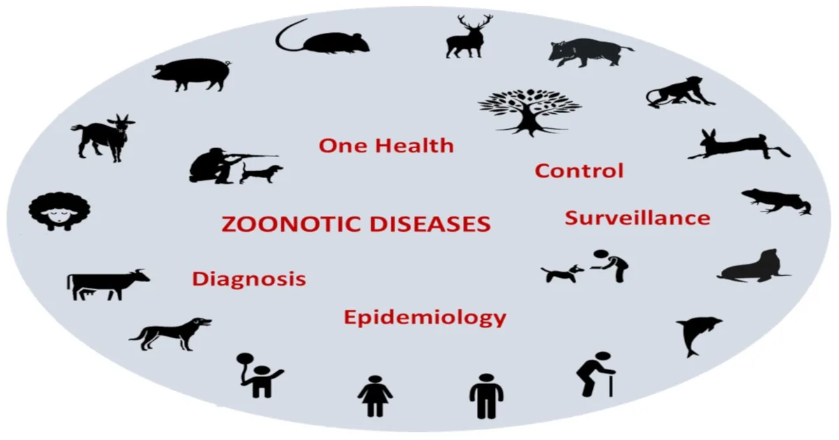 Zoonotic Diseases: Causes, Types, Spread and Challenges in India GIFT City Zoonotic Diseases
