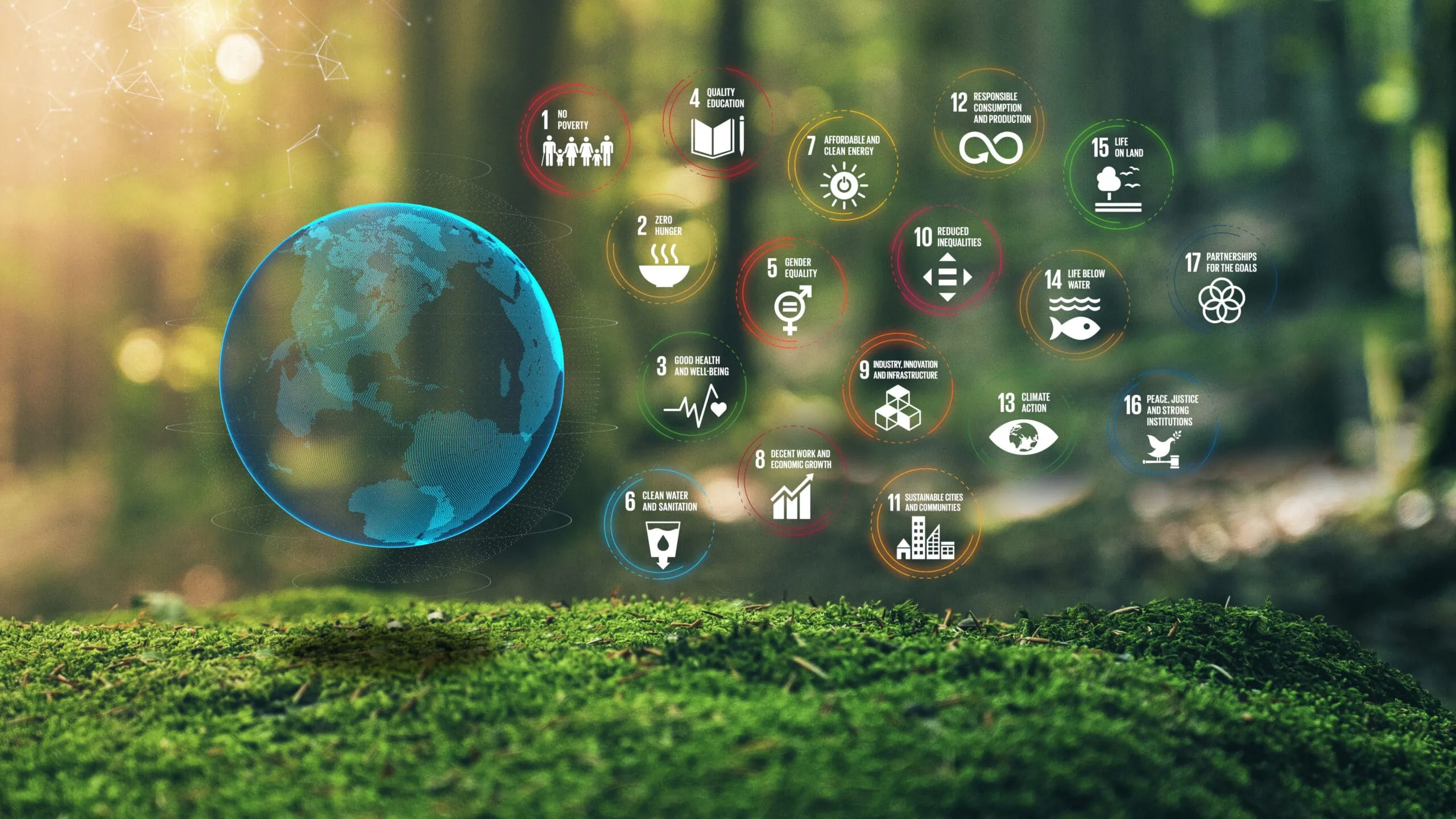 Sustainable Development: Meaning, Goals, Challenges and Global Efforts El Gaia Attack Sustainable Development
