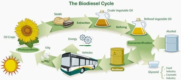 Biofuels: Renewable Energy for a Sustainable Future Anil Menon Spacewalk Biofuels