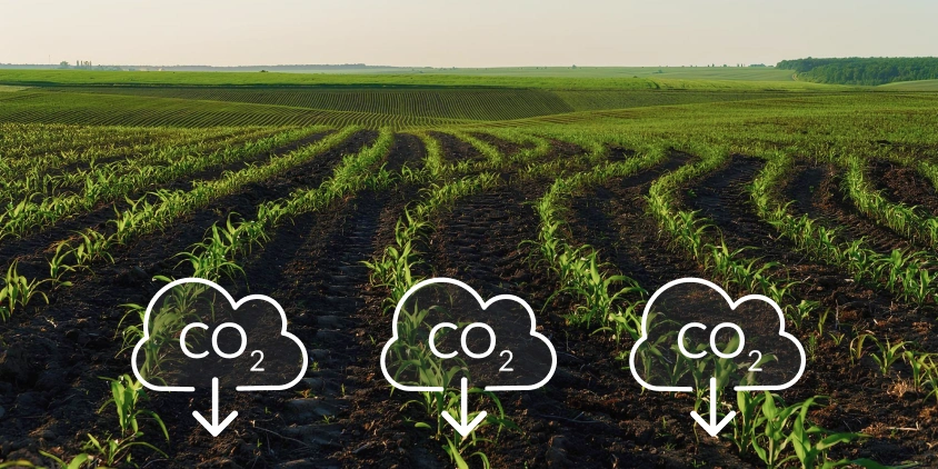 Carbon Farming