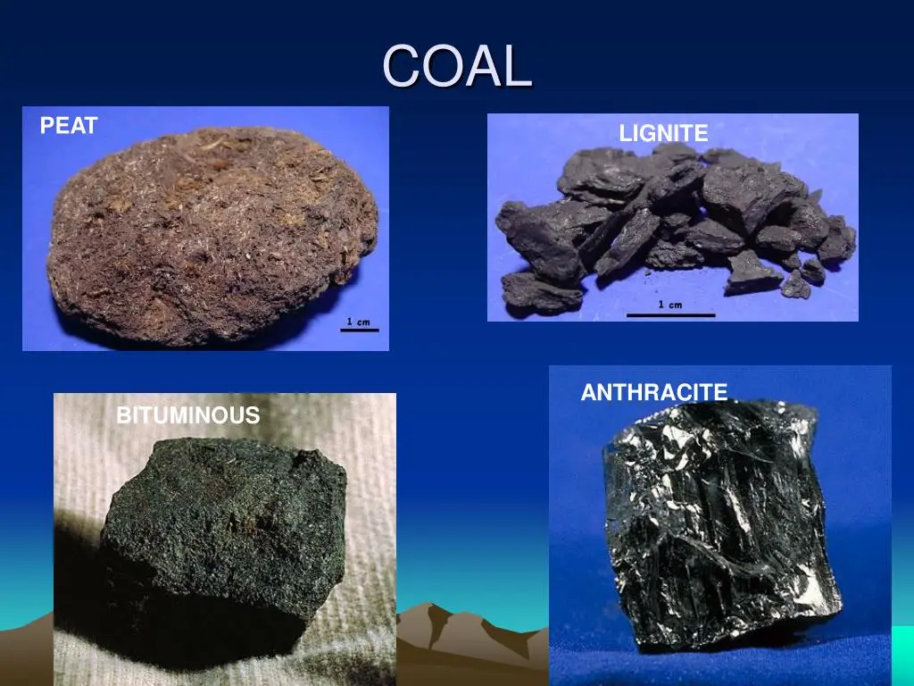 Coal Sector in India