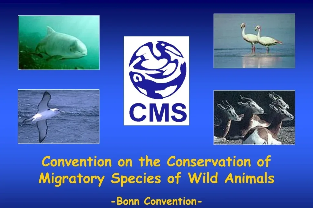 Environmental Conventions