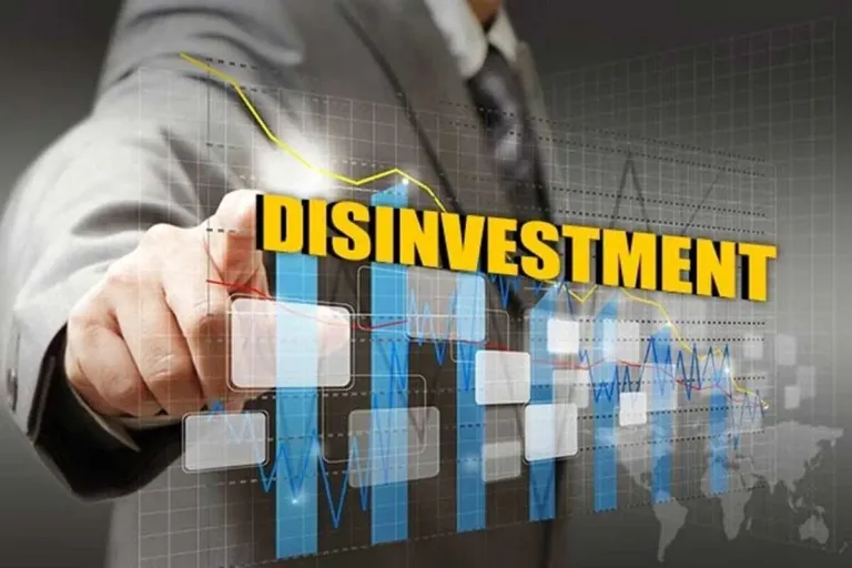 Strategic Disinvestment in India El Gaia Attack Strategic Disinvestment