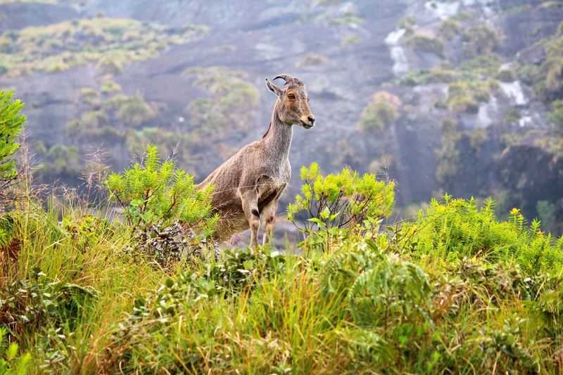 Biosphere Reserves in India