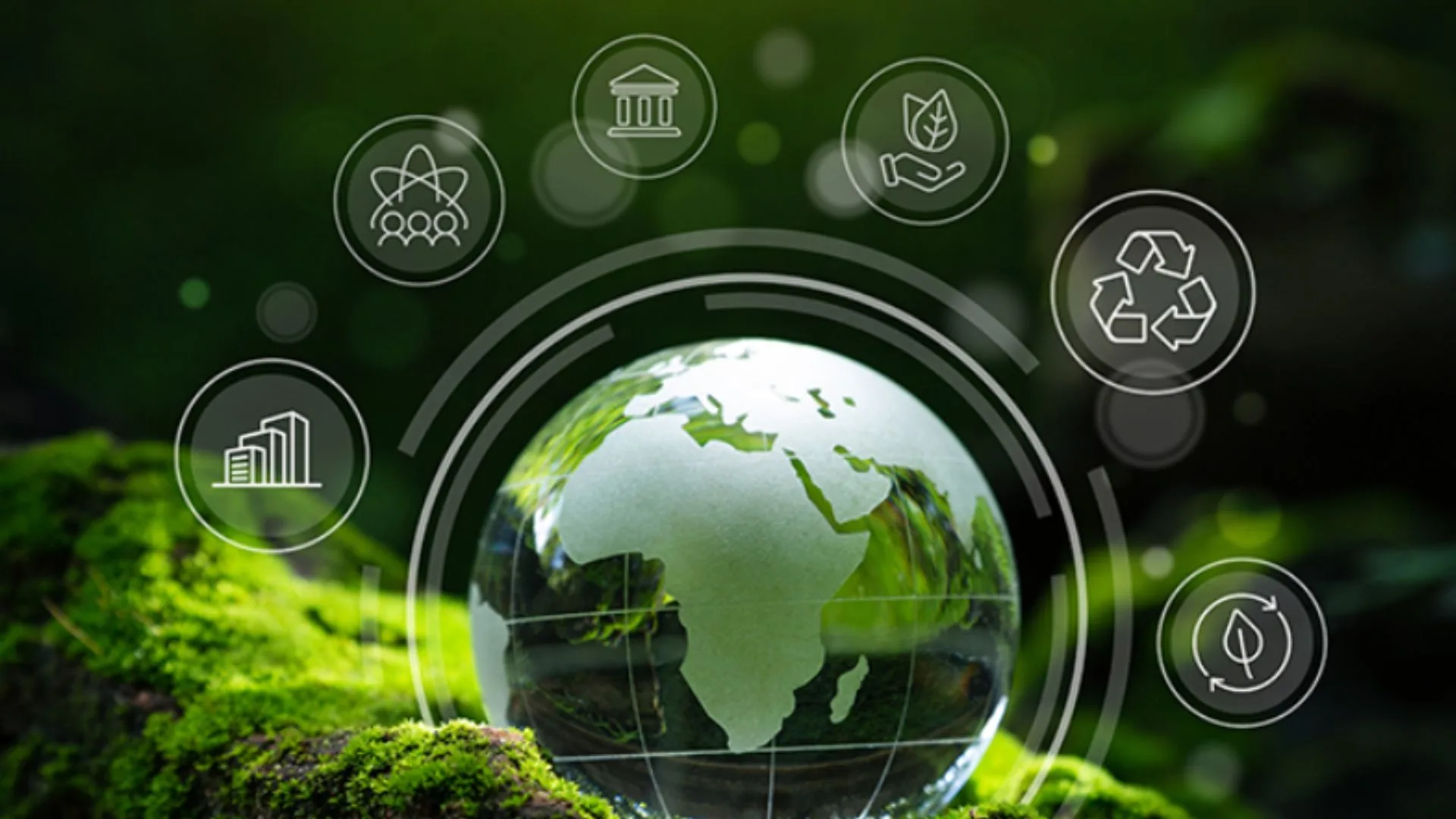Environmental Impact Assessment: Meaning, Process, Importance and Challenges El Gaia Attack Environmental Impact Assessment