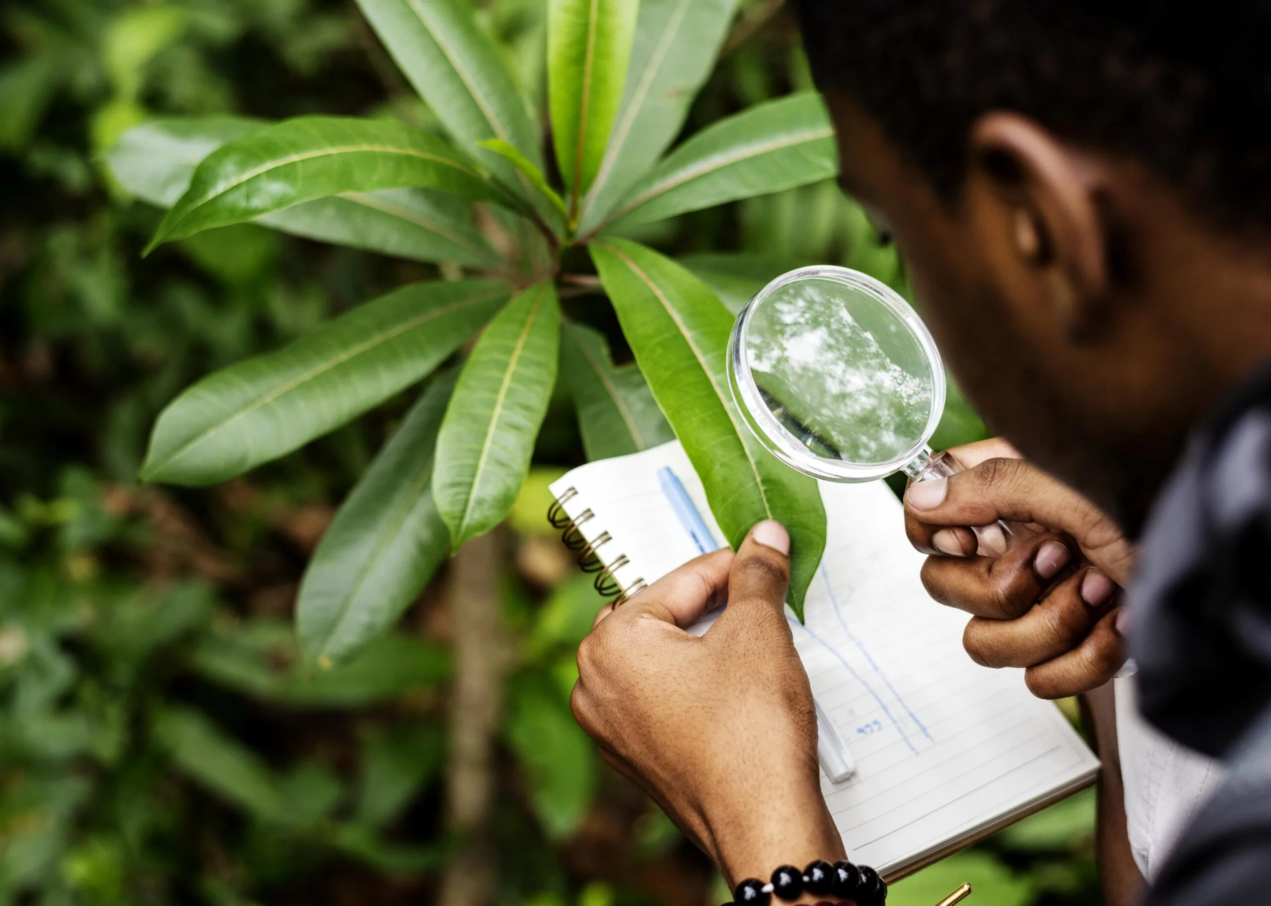 Environmental Impact Assessment: Meaning, Process, Importance and Challenges El Gaia Attack Environmental Impact Assessment