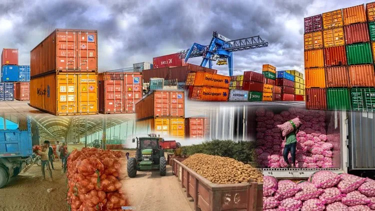 Food Processing in India