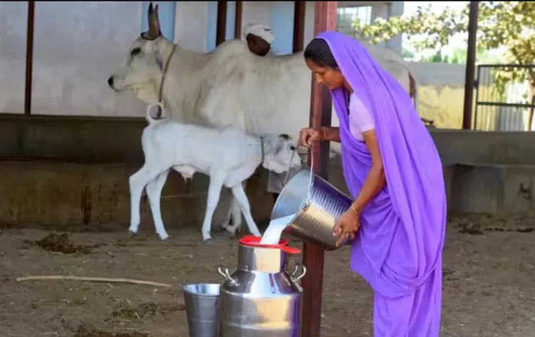 Animal Rearing in India: Importance, Challenges and Government Schemes El Gaia Attack Animal Rearing
