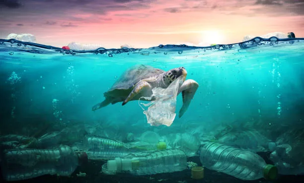 Microplastics