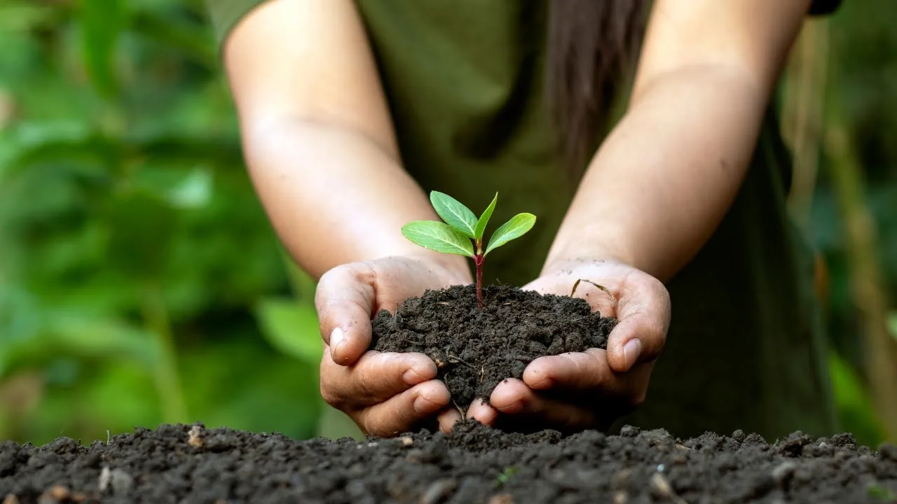 Environmental Conventions